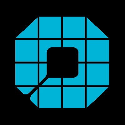 Flop Network logo